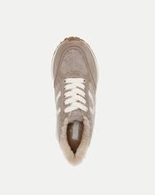 Load image into Gallery viewer, Valentina Sneaker in Cobblestone Multi
