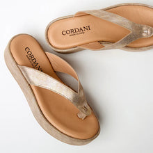 Load image into Gallery viewer, Cordani Kendra in soft gold
