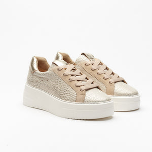 Bianca Sneaker in Platino/Sand